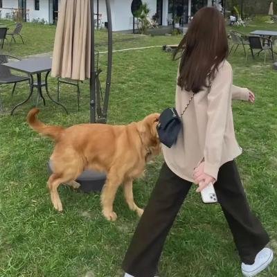 逆境之美2